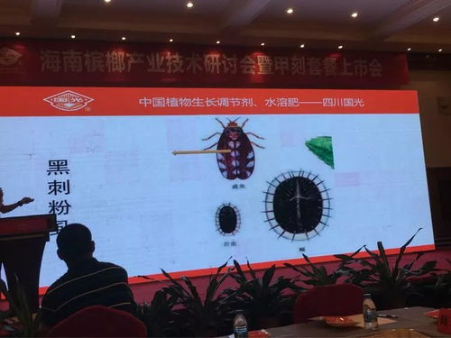 創(chuàng)新驅(qū)動(dòng)，合作共贏 2018檳榔產(chǎn)業(yè)技術(shù)研討交流會(huì)之軟件開(kāi)發(fā)篇